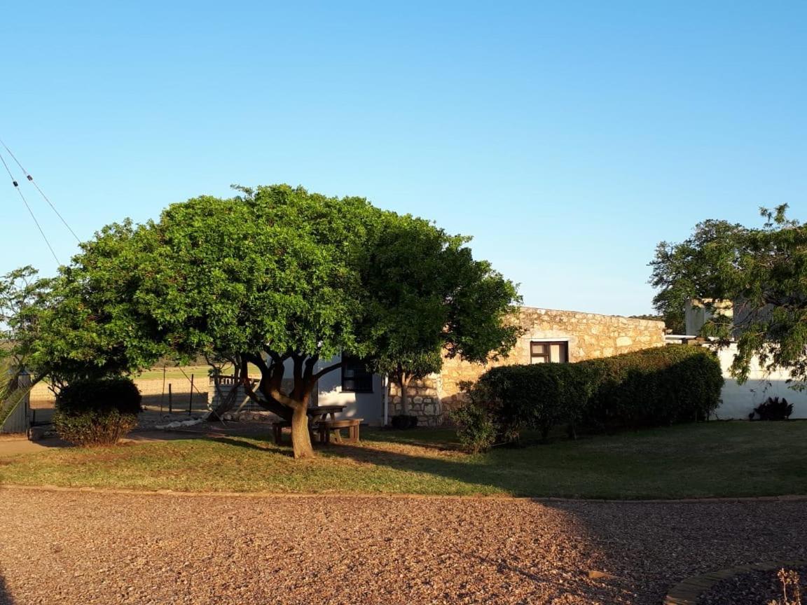 Die Buitekamer Bredasdorp Exterior photo